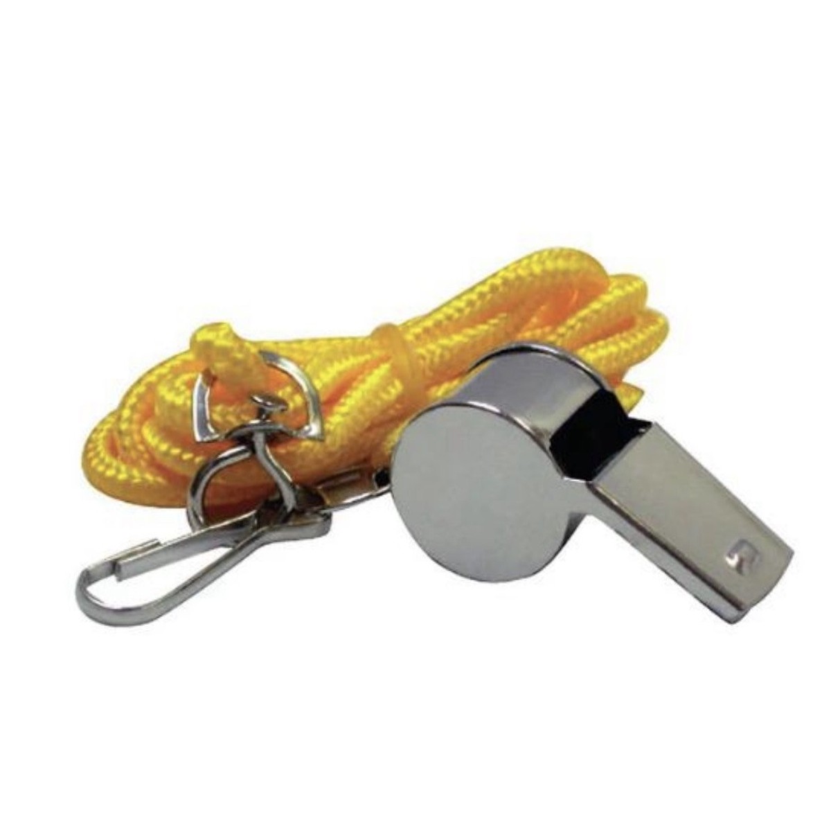 Metal Whistle With Lanyard