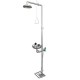 Terysafe Stainless Steel Safety Shower & Eye Wash